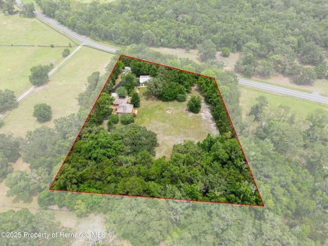 22063 Lake Lindsey Rd, Brooksville, FL 34601 - photo 5