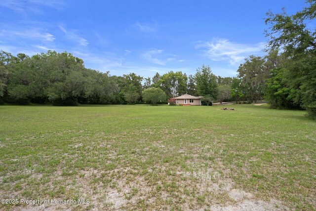 22063 Lake Lindsey Rd, Brooksville, FL 34601 - photo 50