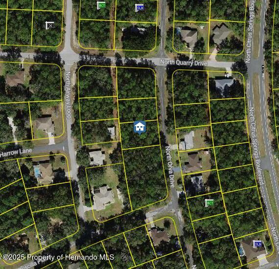 10768 N Orva Dr, Dunnellon, FL 34434