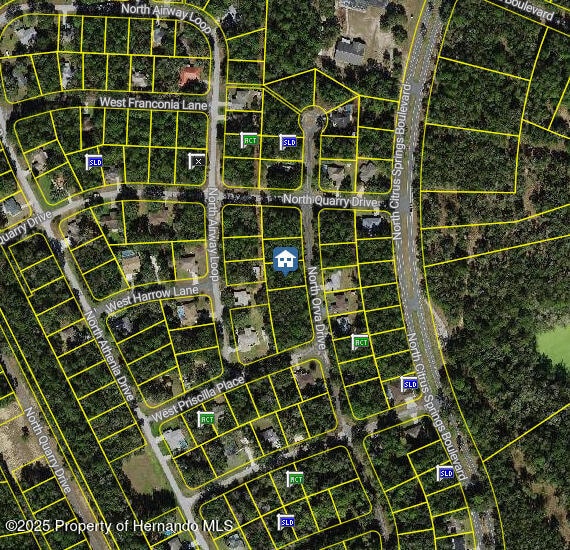 10768 N Orva Dr, Dunnellon, FL 34434
