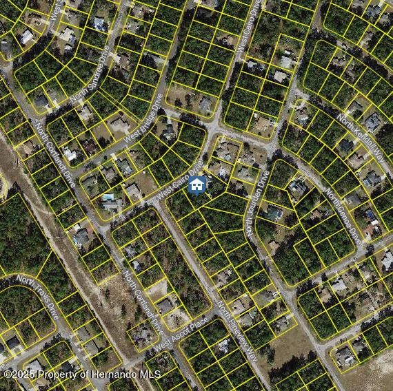1176 W Cairo Dr, Dunnellon, FL 34434