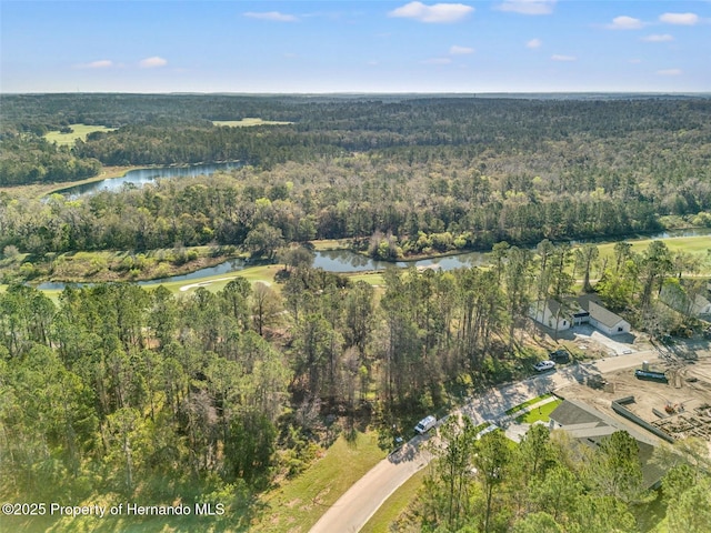 20132 English Walnut Pl, Brooksville, FL 34601