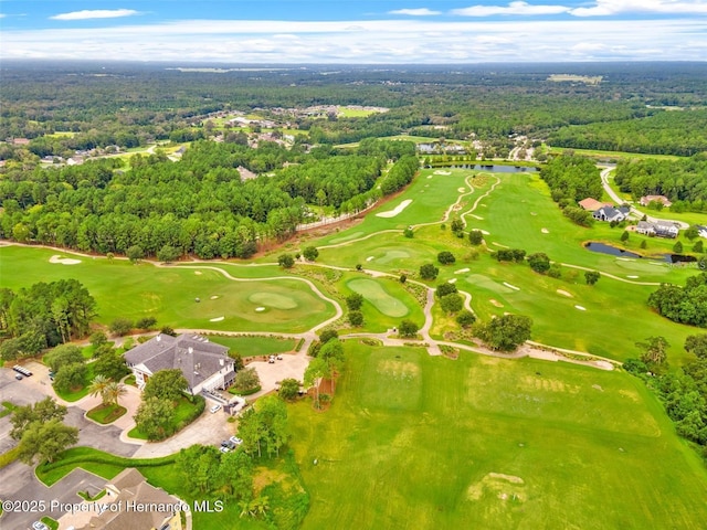 20132 English Walnut Pl, Brooksville, FL 34601