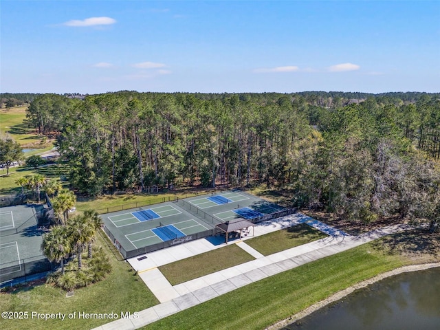 20132 English Walnut Pl, Brooksville, FL 34601