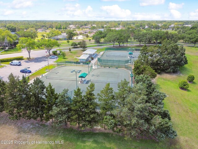 18223 Nestlebranch Ct, Hudson, FL 34667 - aerial view