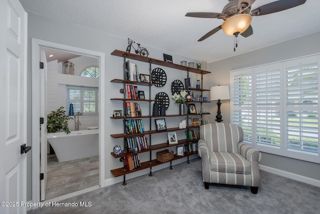 1049 Larkin Rd, Spring Hill, FL 34608 - living area with a ceiling fan, carpet, baseboards, and a textured ceiling