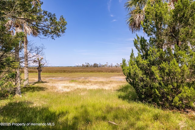 0 Indian Gulf Ln, Hernando Beach, FL 34607 - photo 4