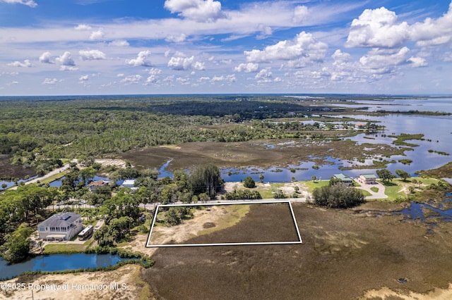 0 Indian Gulf Ln, Hernando Beach, FL 34607 - photo 10