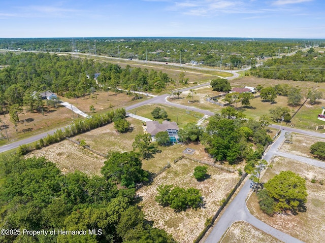 14031 Hexam Rd, Brooksville, FL 34613 - aerial view of property's location