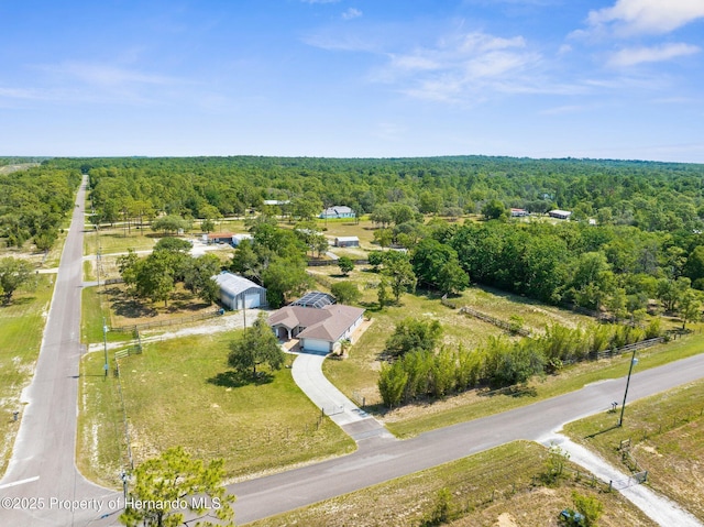 14031 Hexam Rd, Brooksville, FL 34613 - bird's eye view of a heavily wooded area