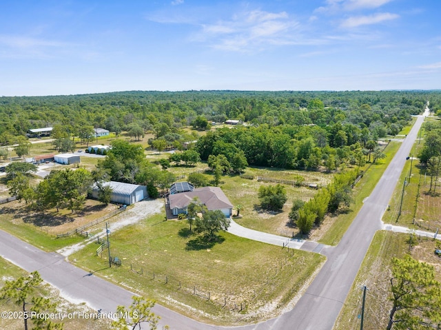 14031 Hexam Rd, Brooksville, FL 34613 - drone / aerial view of a forest
