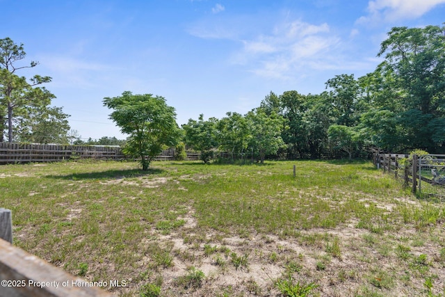14031 Hexam Rd, Brooksville, FL 34613 - view of yard with a view of countryside