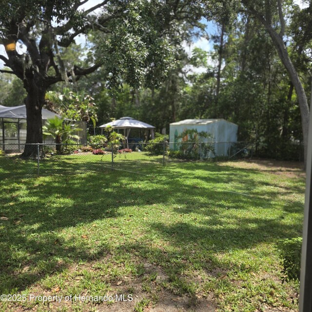 2226 Giralda Ave, Spring Hill, FL 34606 - view of yard