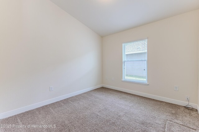 1151 Mystic Ct, Spring Hill, FL 34609 - photo 33