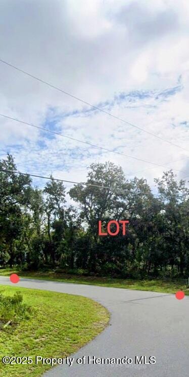 0 Kildeer Rd, Weeki Wachee, FL 34614 - photo 4