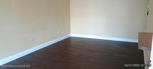 5011 Sunridge Palms Dr Unit 203, Tampa, FL 33617 - photo 29