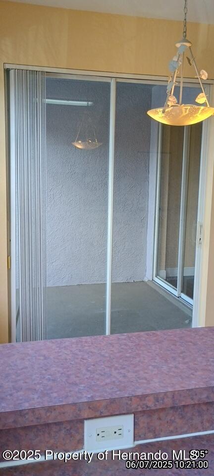 5011 Sunridge Palms Dr Unit 203, Tampa, FL 33617 - photo 15