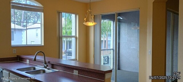 5011 Sunridge Palms Dr Unit 203, Tampa, FL 33617 - photo 27