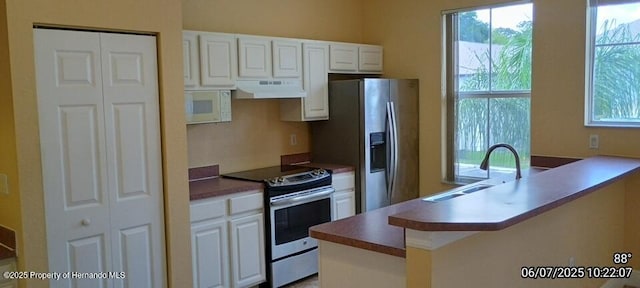 5011 Sunridge Palms Dr Unit 203, Tampa, FL 33617 - photo 5