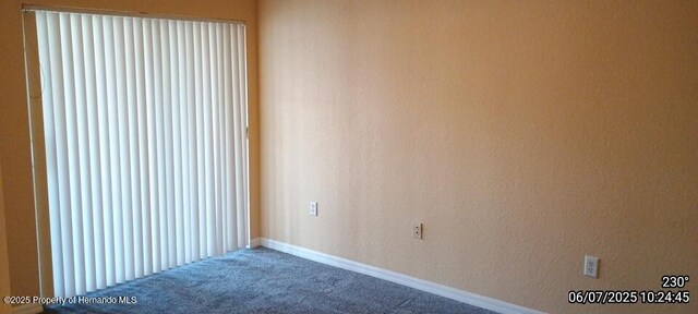 5011 Sunridge Palms Dr Unit 203, Tampa, FL 33617 - photo 31