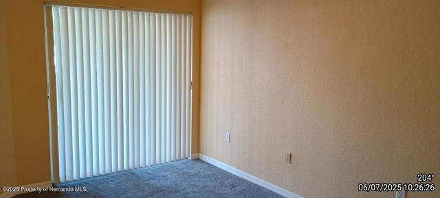5011 Sunridge Palms Dr Unit 203, Tampa, FL 33617 - photo 34