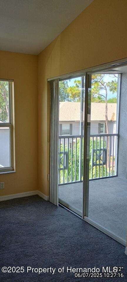 5011 Sunridge Palms Dr Unit 203, Tampa, FL 33617 - photo 36