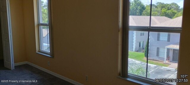 5011 Sunridge Palms Dr Unit 203, Tampa, FL 33617 - photo 40