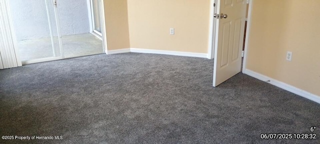 5011 Sunridge Palms Dr Unit 203, Tampa, FL 33617 - photo 41