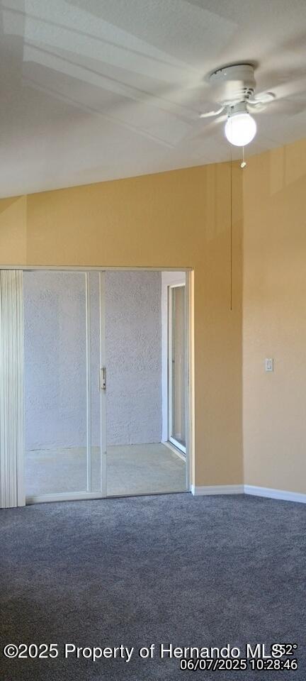 5011 Sunridge Palms Dr Unit 203, Tampa, FL 33617 - photo 42