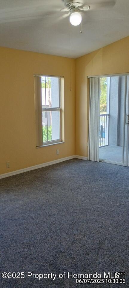 5011 Sunridge Palms Dr Unit 203, Tampa, FL 33617 - photo 43