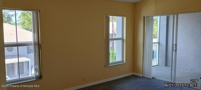 5011 Sunridge Palms Dr Unit 203, Tampa, FL 33617 - photo 44