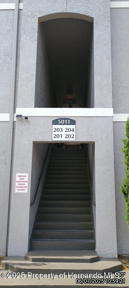 5011 Sunridge Palms Dr Unit 203, Tampa, FL 33617 - photo 2