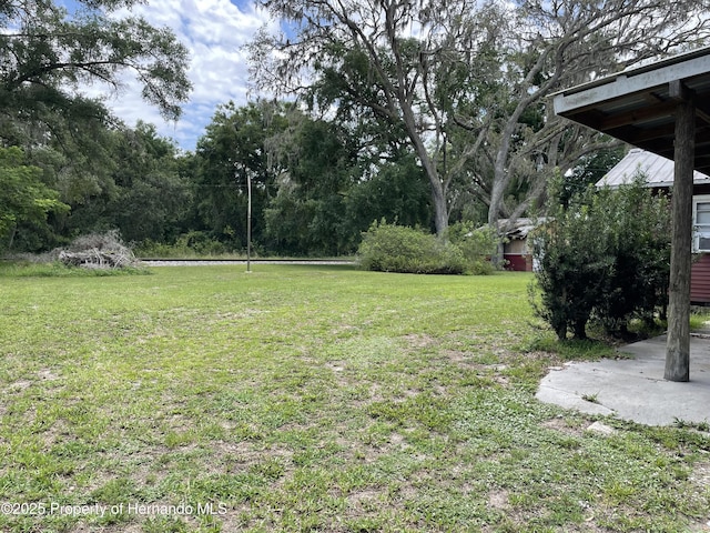 15306 Spokane Rd, Spring Hill Pasco, FL 34610 - view of grassy yard