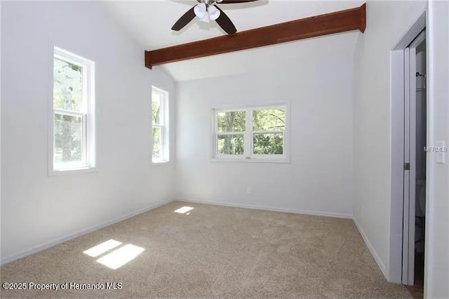 39127 Pretty Pond Rd, Zephyrhills, FL 33540 - unfurnished bedroom featuring carpet flooring, baseboards, and ceiling fan