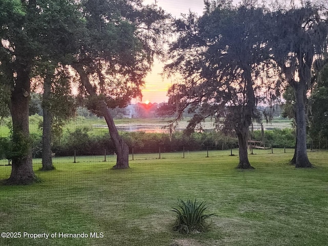 39127 Pretty Pond Rd, Zephyrhills, FL 33540 - view of property's community featuring a yard