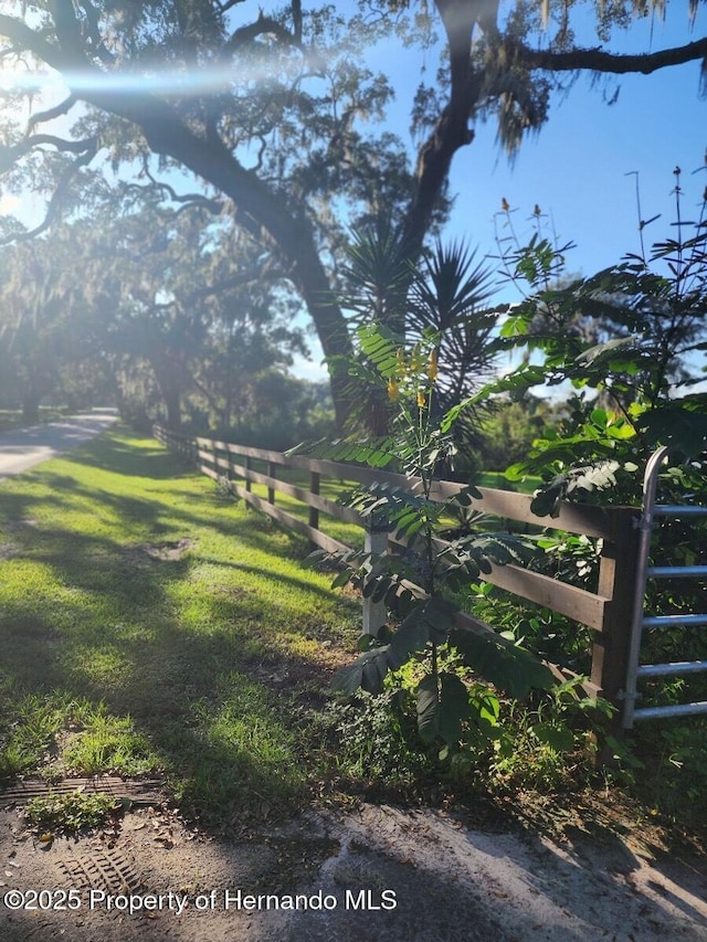 39127 Pretty Pond Rd, Zephyrhills, FL 33540 - view of yard