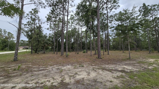 0 Catbird Rd, Weeki Wachee, FL 34614