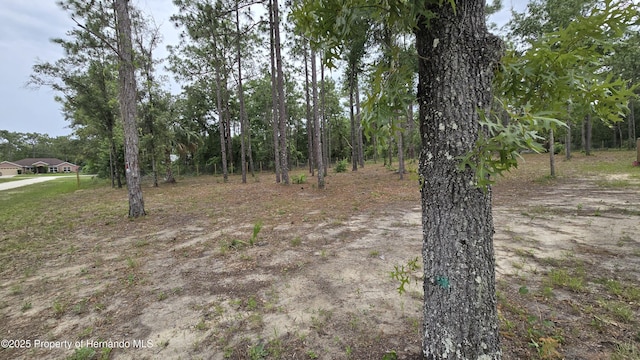 0 Catbird Rd, Weeki Wachee, FL 34614