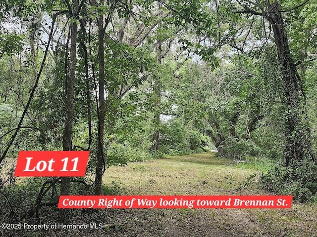 0 Brennan St, Brooksville, FL 34601