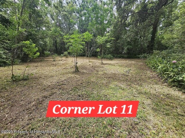 0 Brennan St, Brooksville, FL 34601
