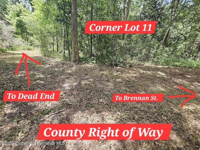 0 Brennan St, Brooksville, FL 34601
