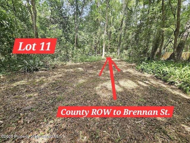 0 Brennan St, Brooksville, FL 34601