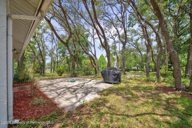 8619 Gold Pine Dr, Port Richey, FL 34668 - photo 29