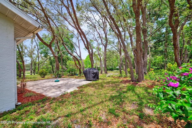 8619 Gold Pine Dr, Port Richey, FL 34668 - photo 27