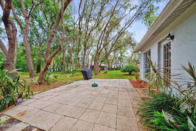8619 Gold Pine Dr, Port Richey, FL 34668 - photo 28