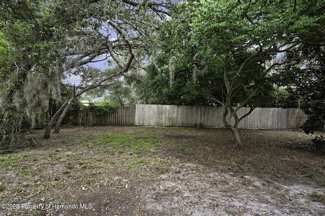 13406 Banyan Rd, Spring Hill, FL 34609 - view of yard