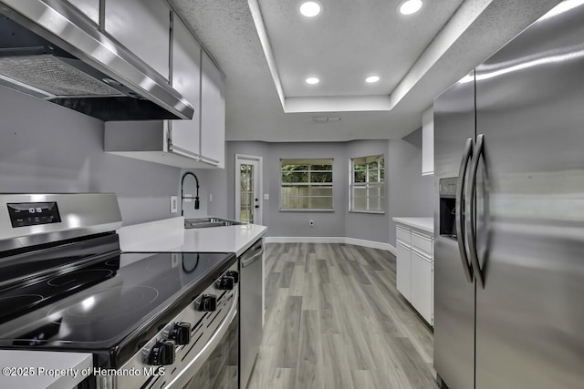 13406 Banyan Rd, Spring Hill, FL 34609 - kitchen with stainless steel appliances, wall chimney range hood, a sink, a tray ceiling, and light wood-type flooring
