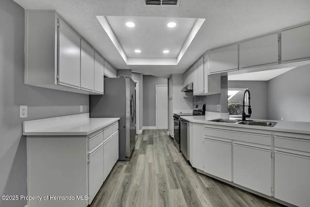13406 Banyan Rd, Spring Hill, FL 34609 - kitchen with appliances with stainless steel finishes, a sink, a tray ceiling, recessed lighting, and light countertops