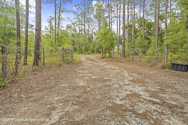 5422 Wilkins Trl, Brooksville, FL 34602 - photo 46