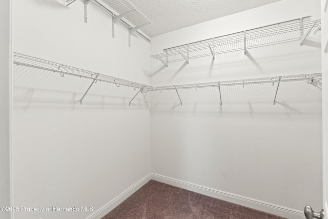18620 Rococo Rd, Spring Hill Pasco, FL 34610 - spacious closet featuring dark colored carpet